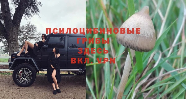 jwh Алзамай