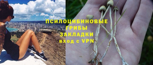 jwh Алзамай